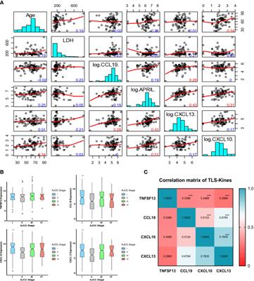 Expression of lymphoid structure-associated cytokine/chemokine gene transcripts in tumor and protein in serum are prognostic of melanoma patient outcomes